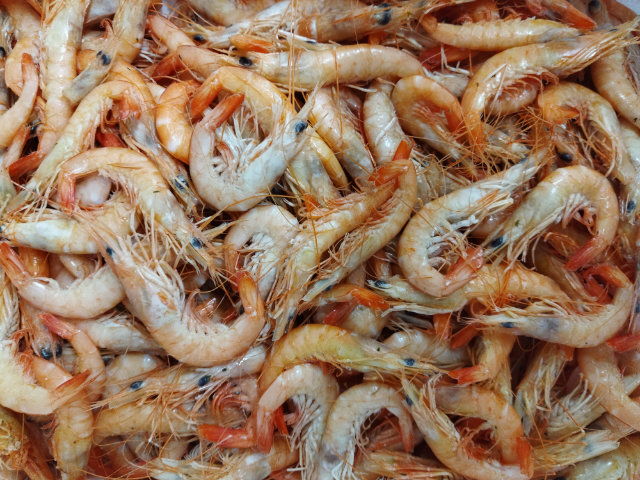 Crevettes sauvages madagascar 120-150